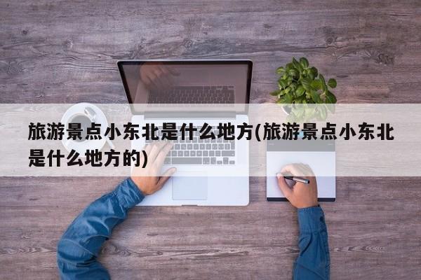 旅游景点小东北是什么地方(旅游景点小东北是什么地方的) 第1张