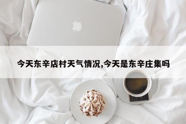 今天东辛店村天气情况,今天是东辛庄集吗 第1张