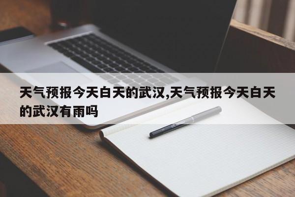 天气预报今天白天的武汉,天气预报今天白天的武汉有雨吗 第1张