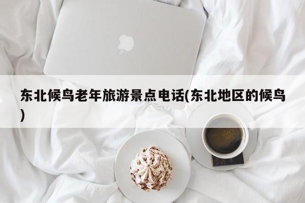 东北候鸟老年旅游景点电话(东北地区的候鸟) 第1张