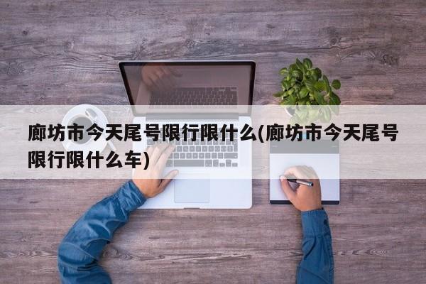 廊坊市今天尾号限行限什么(廊坊市今天尾号限行限什么车)