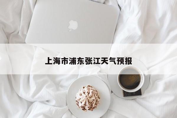 上海市浦东张江天气预报