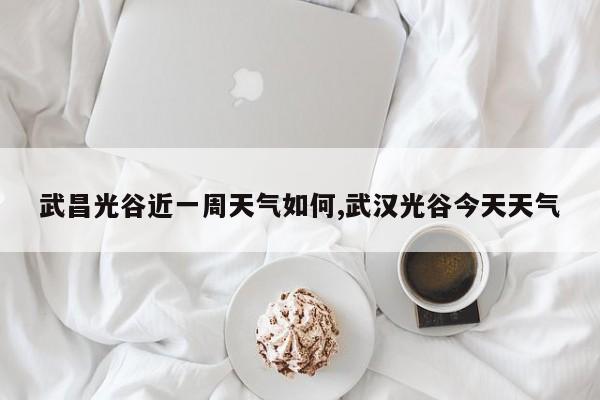 武昌光谷近一周天气如何,武汉光谷今天天气