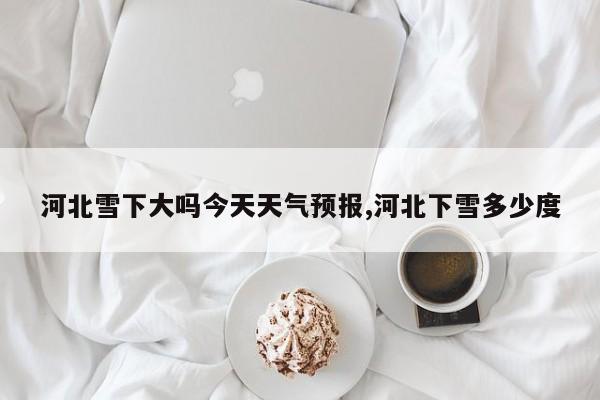 河北雪下大吗今天天气预报,河北下雪多少度 第1张