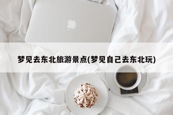 梦见去东北旅游景点(梦见自己去东北玩) 第1张