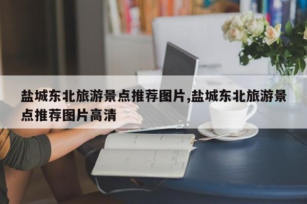 盐城东北旅游景点推荐图片,盐城东北旅游景点推荐图片高清 第1张