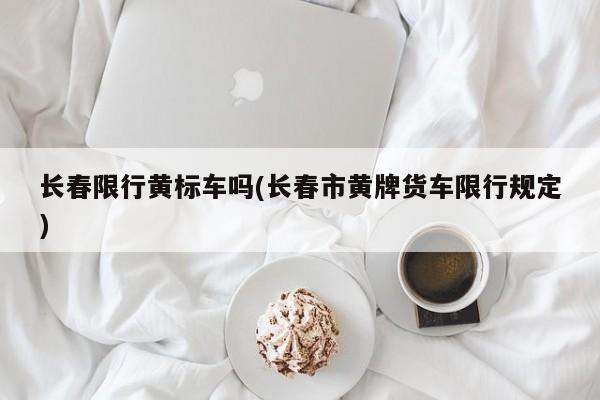 长春限行黄标车吗(长春市黄牌货车限行规定)