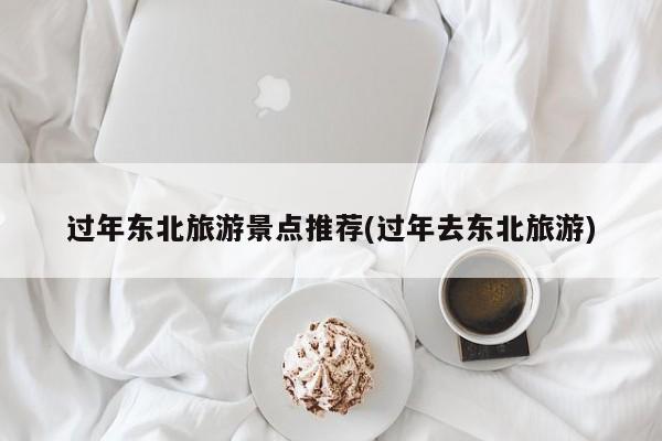 过年东北旅游景点推荐(过年去东北旅游)
