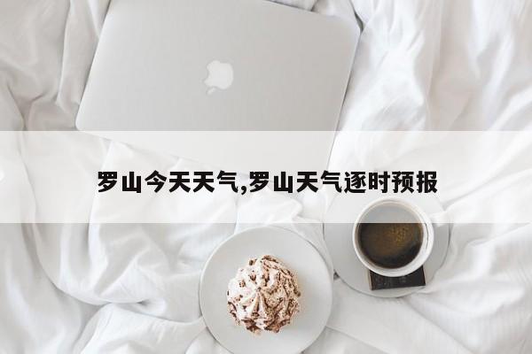 罗山今天天气,罗山天气逐时预报