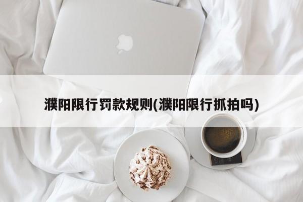 濮阳限行罚款规则(濮阳限行抓拍吗)