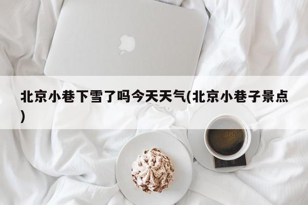 北京小巷下雪了吗今天天气(北京小巷子景点)