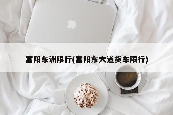 富阳东洲限行(富阳东大道货车限行)
