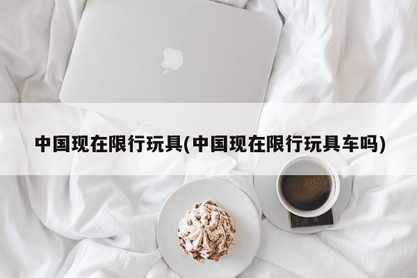 中国现在限行玩具(中国现在限行玩具车吗)